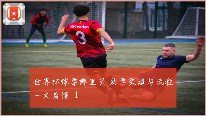 世界杯球票哪里买 购票渠道与流程一文看懂_1