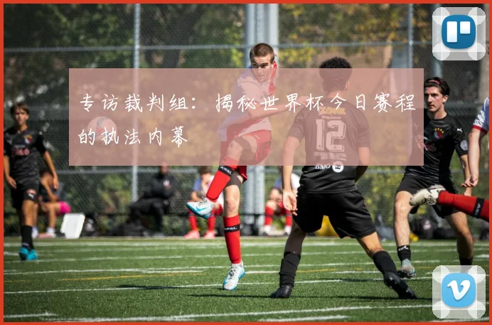 专访裁判组：揭秘世界杯今日赛程的执法内幕