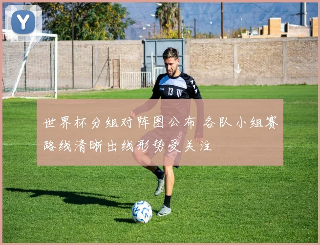 世界杯分组对阵图公布 各队小组赛路线清晰出线形势受关注